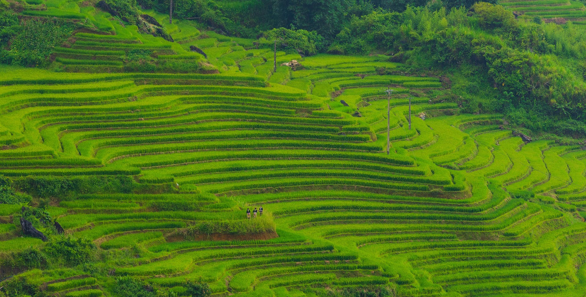 Embrace the vibrant energy of Muang Sing’s cultural heritage